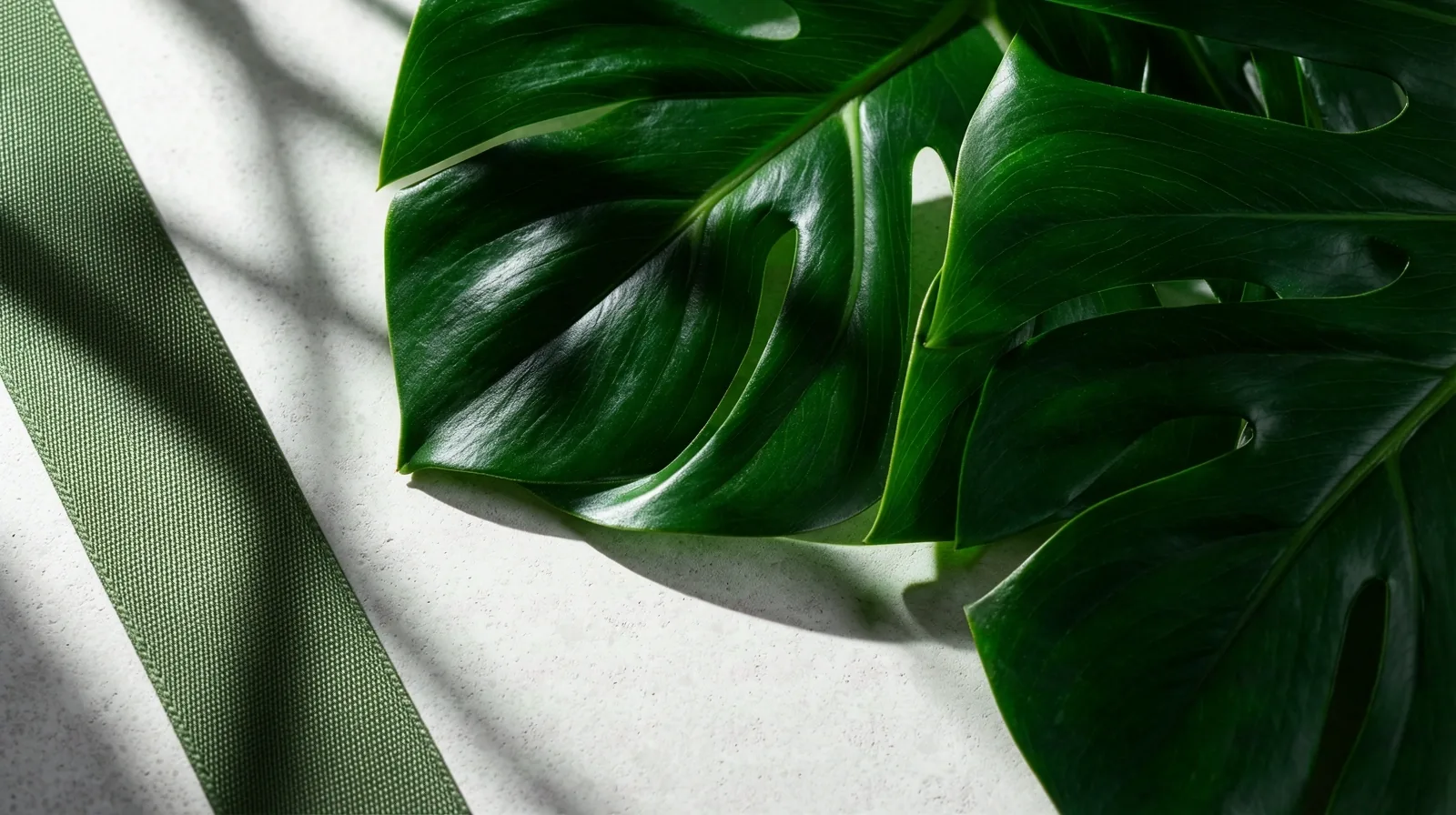 Natural wellness atmosphere